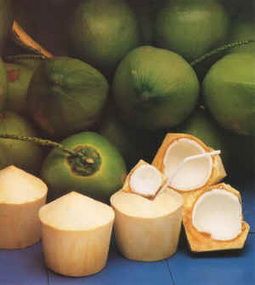 Fresh Young Coconuts