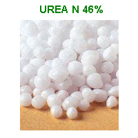 Urea 46%