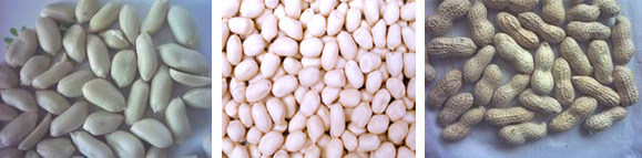Blanched peanuts
