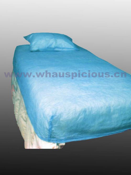 bed sheet and pillow case