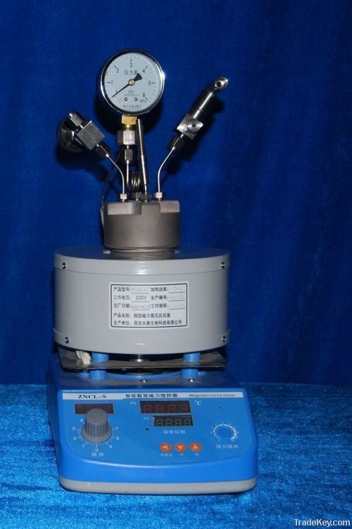 Mini magnetic high pressure reactor