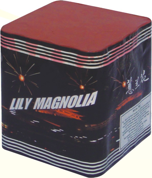 Lily Magnolia fireworks