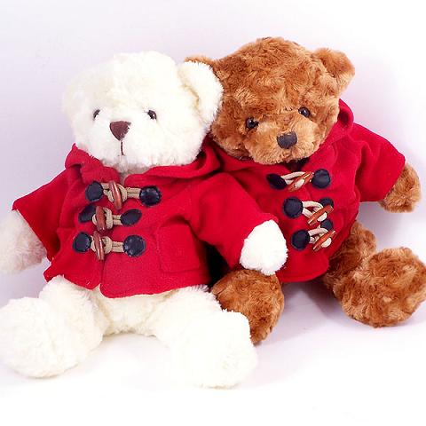 Plush Toy (Teddy Bear)