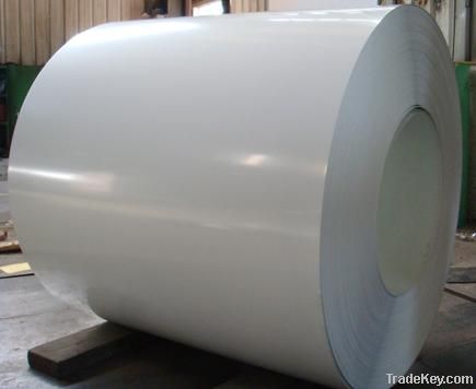 Whiteboard Steel Coil