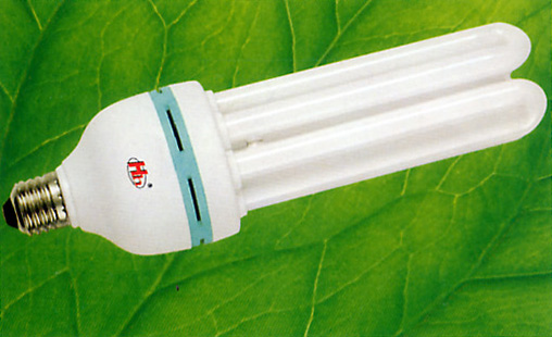Plum Blossom Lamp