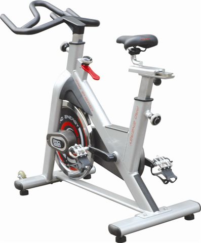 spinning bike PS300 fitness equipment bike