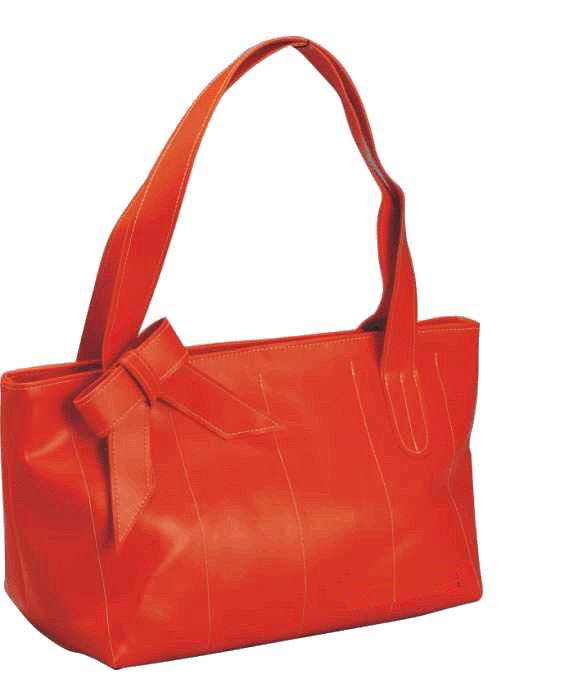 Handbag(ZH-B8001)