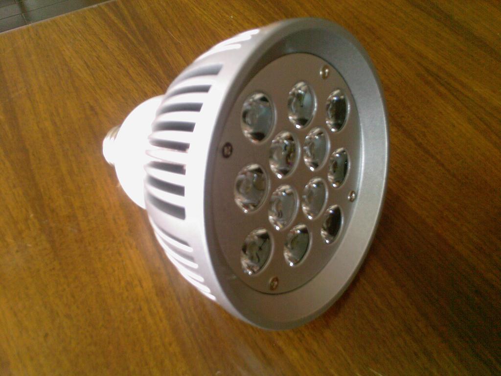 High Power LED-PAR38