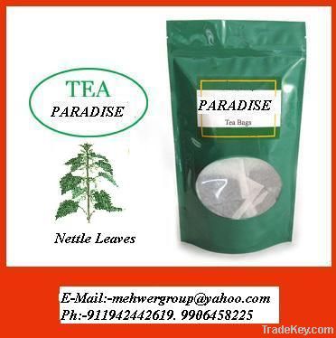 Nettle Leaf Tea