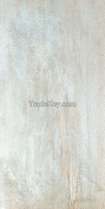 Slim Porcelain Tile 600X1200 Cement tile