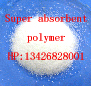 Super absorbent polymer