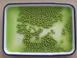 Canned Green Pea