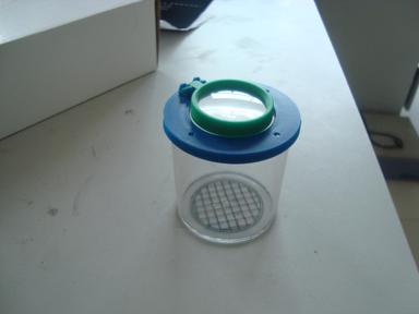 insect view magnifier(YJ7129C)