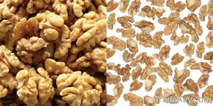 Shelled Walnut Suppliers | Walnut Exporters | Walnut Manufacturers | Cheap Walnut | Wholesale Walnut | Discounted Walnut | Bulk Walnut | Walnut Buyer