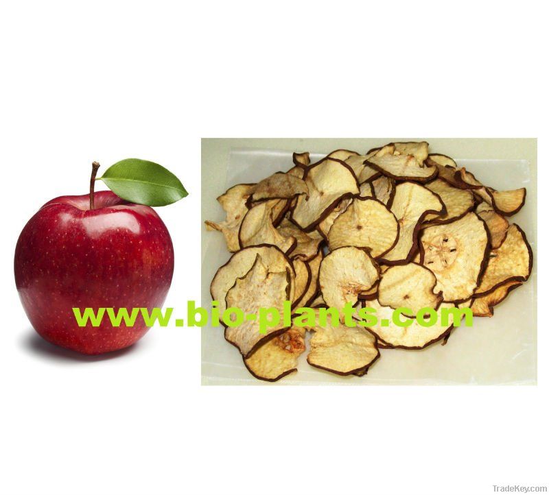 Dried apples chips - Rep Moldova (origin)