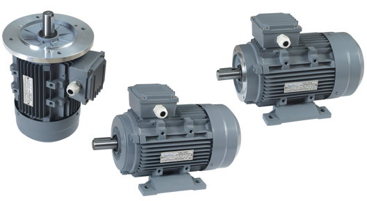 MS series three phase induction motor
