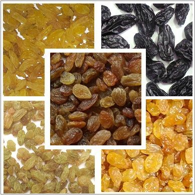 Indian Raisins