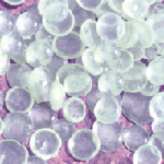 Pentaerythritol Ester of Gum Rosin