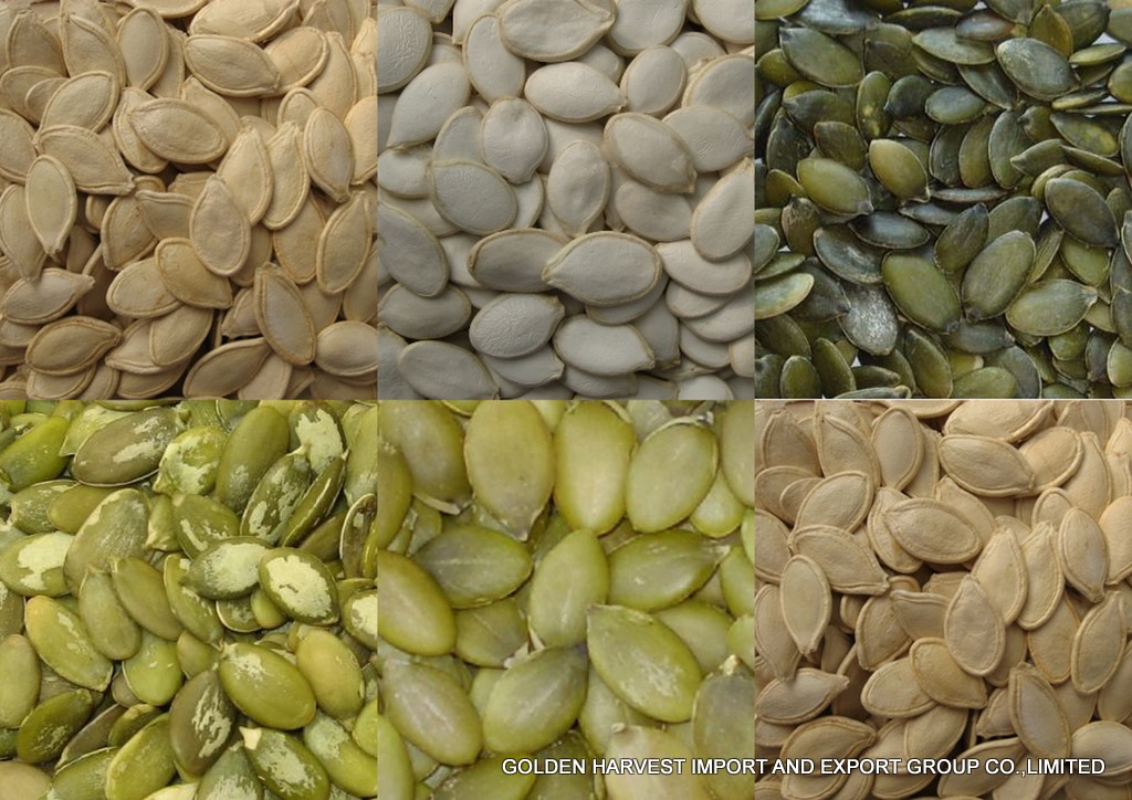 Pumpkin Seed and Pumpkin Seed Kernels