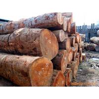 Malaysian Hardwood Round Logs