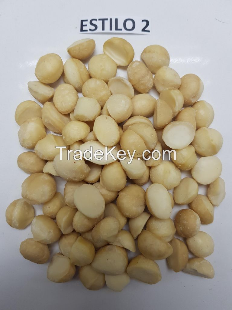 Raw Macadamia Nut Kernel