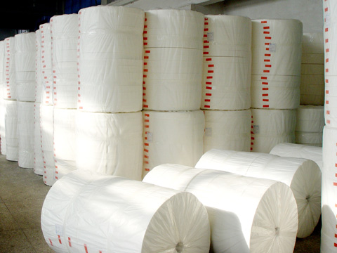 Non Woven Rolls