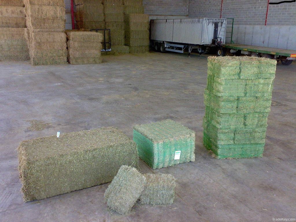 DEHYDRATED FORAGE BALES