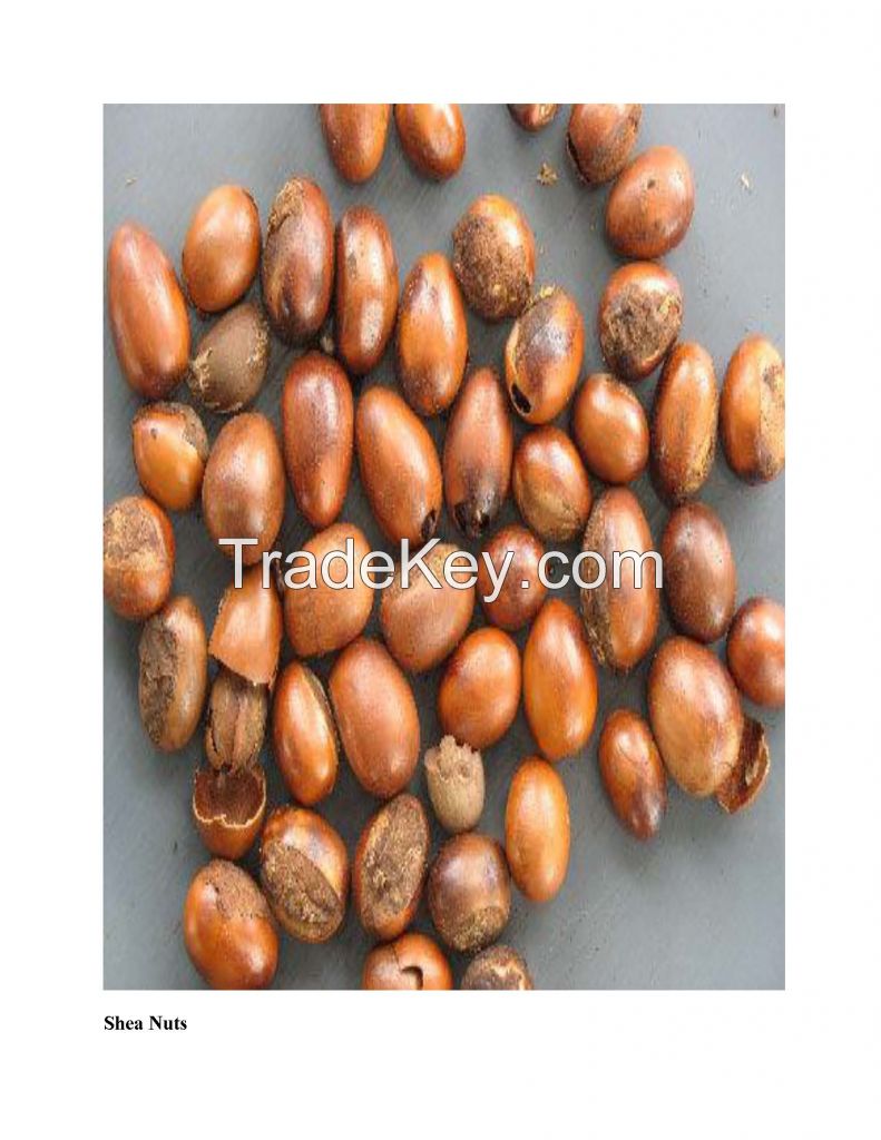 Shea Butter, Dry Fruits, Coffee Robusta Beans, Raw Cashew Nuts, Shea Nuts, Cocoa Beans and Sesame Seeds