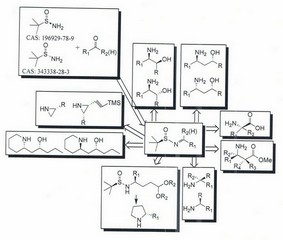 (S)-(-)-2-methyl-2-propanesulfinamide