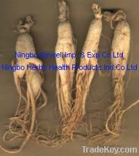 Ginseng Root