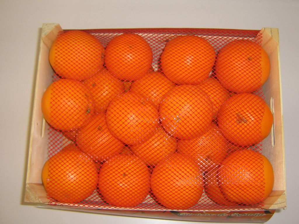 Oranges , Tangerines, Lemons, Grapefruit