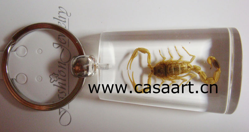 Insect Amber Key Chain (KCA001) promotional gift