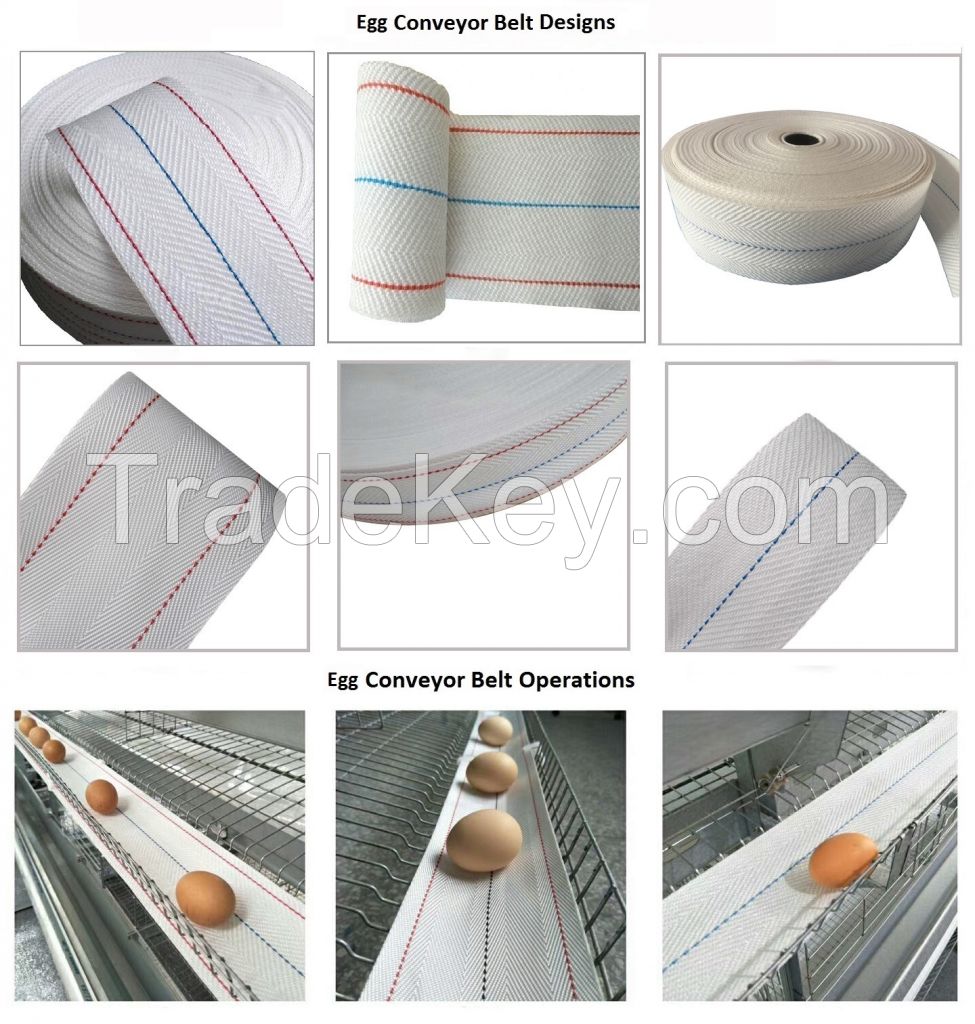 EGG COLLECTION CONVEYOR BELT FOR LAYER CHICKEN CAGE-MADE IN INDIA