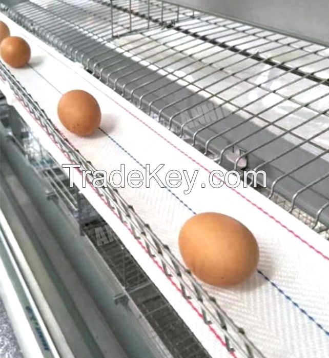 EGG COLLECTION CONVEYOR BELT FOR LAYER CHICKEN CAGE-MADE IN INDIA