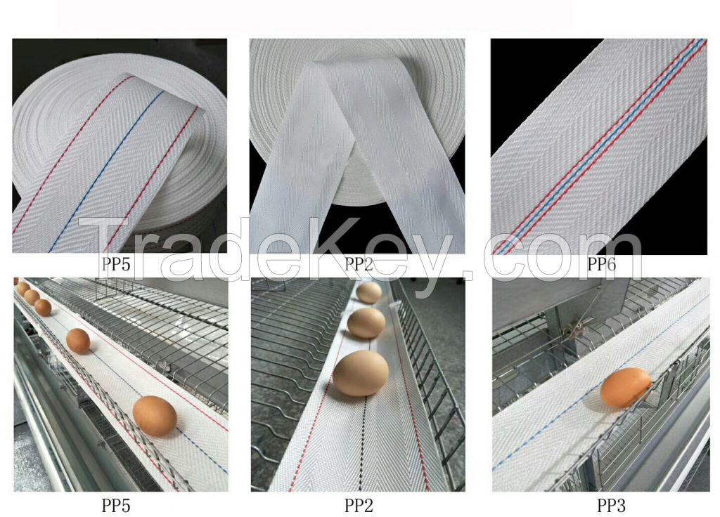 Chicken Layer Cage Egg Collection Conveyor Belt - 100mm