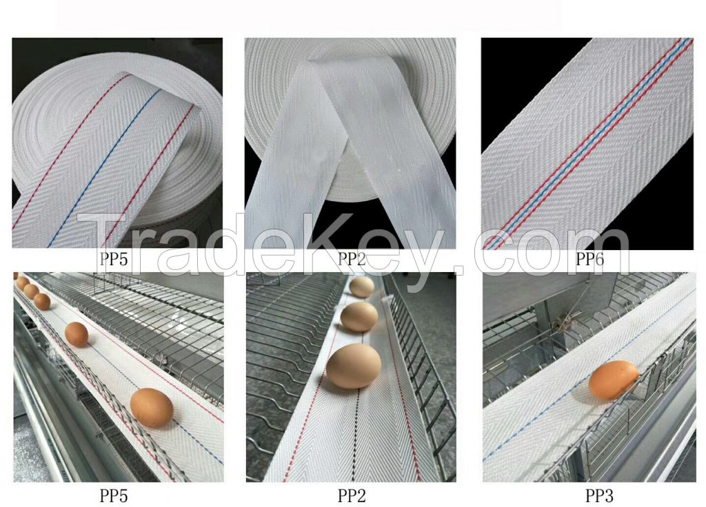 Egg Collection Conveyor Belt - 100mm