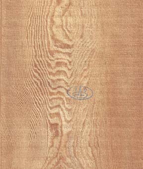 Ancient Pine Laminated Flooring