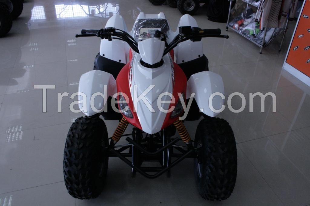 Desert Cat 100cc Quad bike ATV