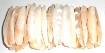 shell bracelet