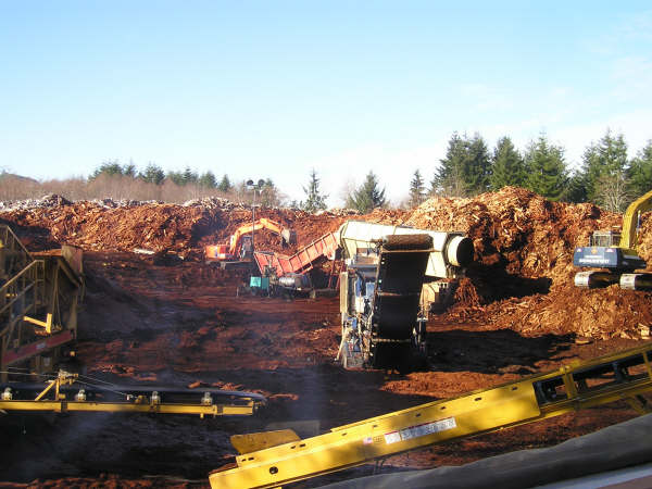 Westren Red Cedar wood Chips