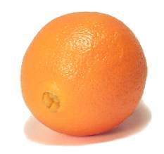 navel orange