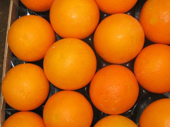 Orange Baladi