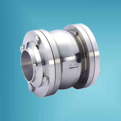 Sanitary Check Valve