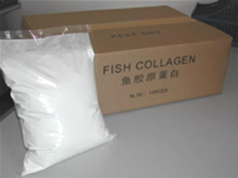 Fish Skin Collagen