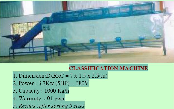 Raw cashew classification machine