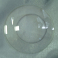 Lenticular Lens  (CR-39 1.499)