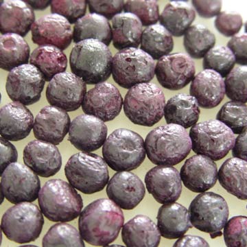 Freeze Dried Blueberry