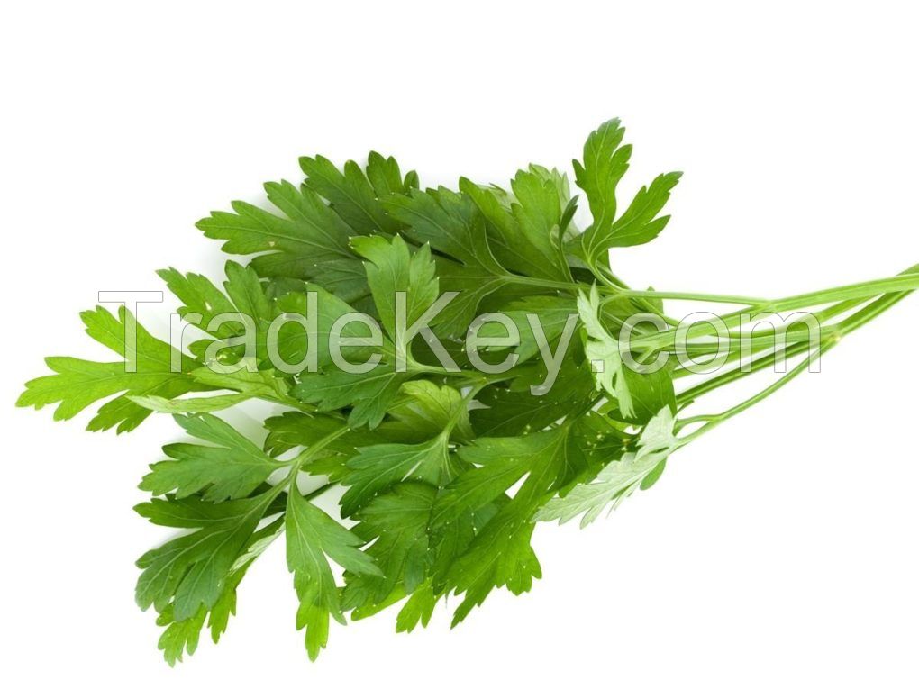 Parsley