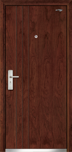 Steel Wooden Doors