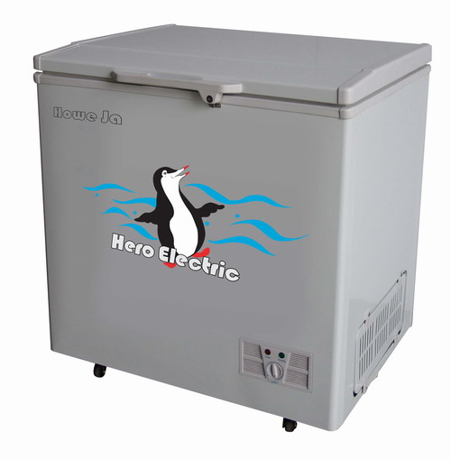 Freezer (BD/BC300T)